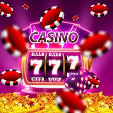 win556