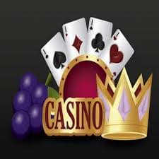 win556